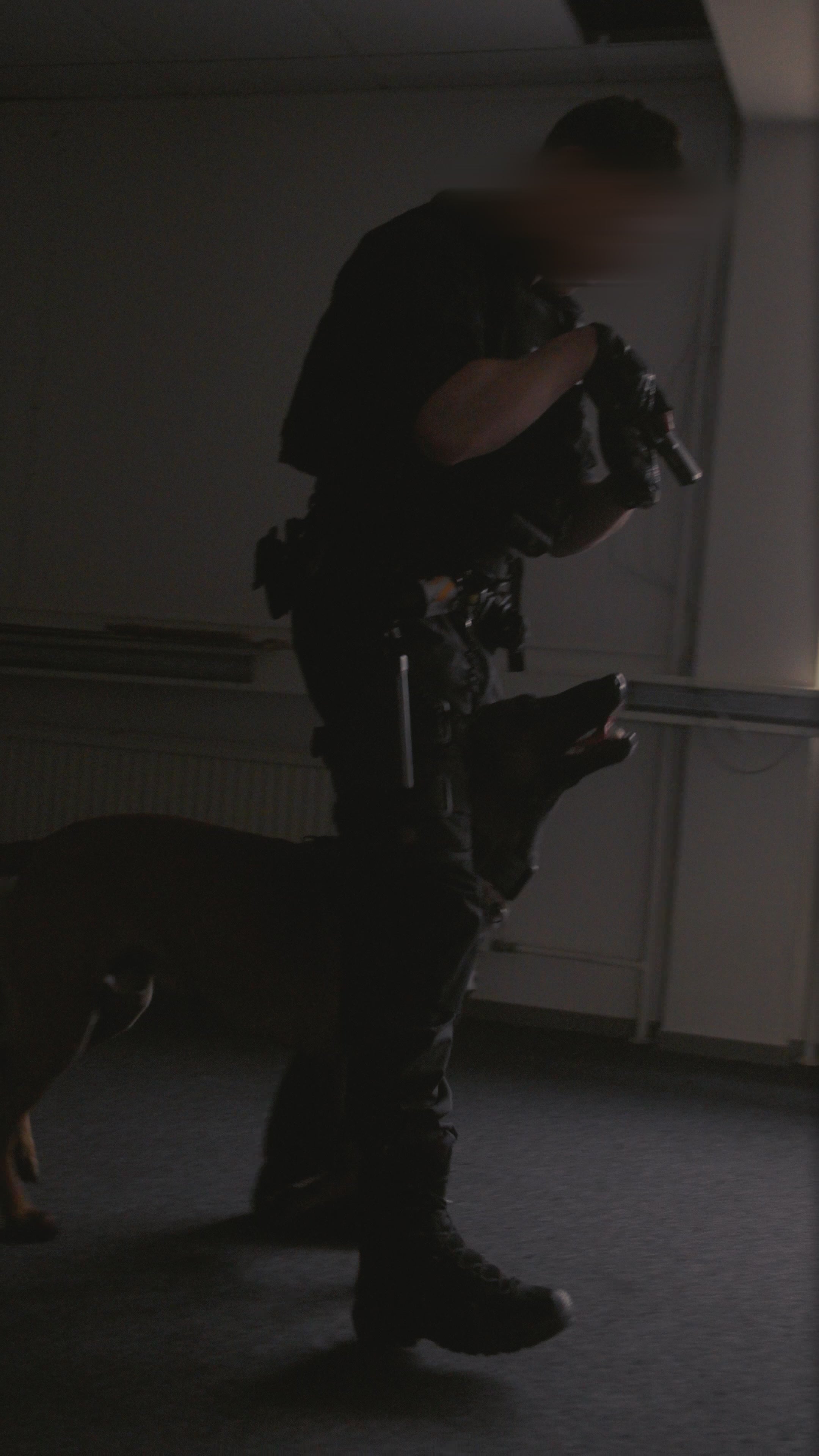 Load video: