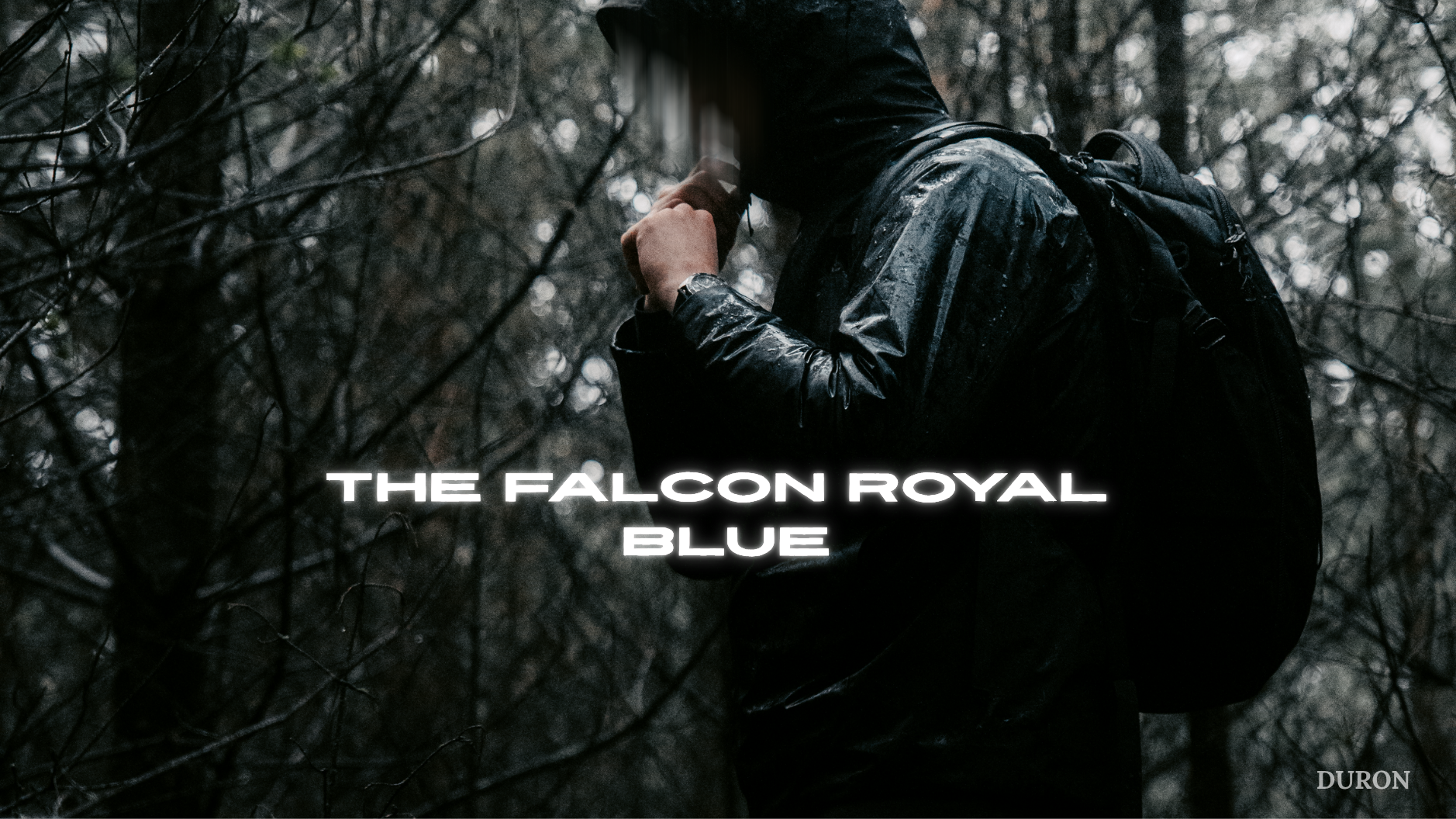 New release: The Falcon Royal Blue